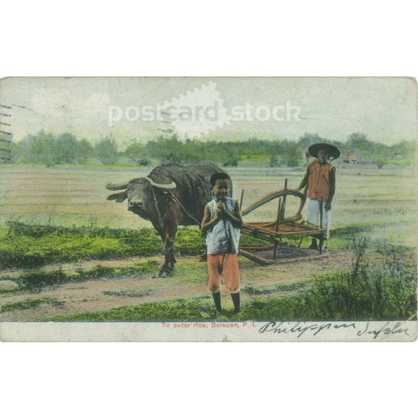 1910 – Manila. Fülöp-szigetek. Színezett fotólap, képeslap. (2791254)