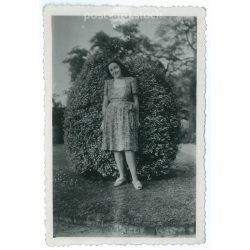   Fiatal nő egészalakos fotója, elegáns, ruhában a parkban. Kisméretű eredeti papírkép. (2792018)