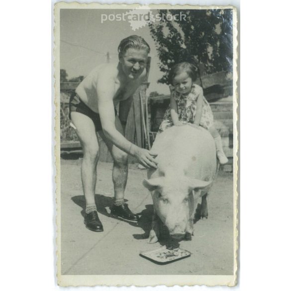 1930-as évek. Lovaglás a házi kedvencen. Fekete-fehér eredeti papírkép, régi fotó. (2792407)