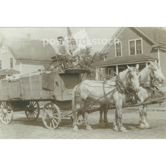 1920-as évek. Németország. Régi lovaskocsi, napernyővel. Eredeti papírkép, régi képeslap, fotólap. (2792473)