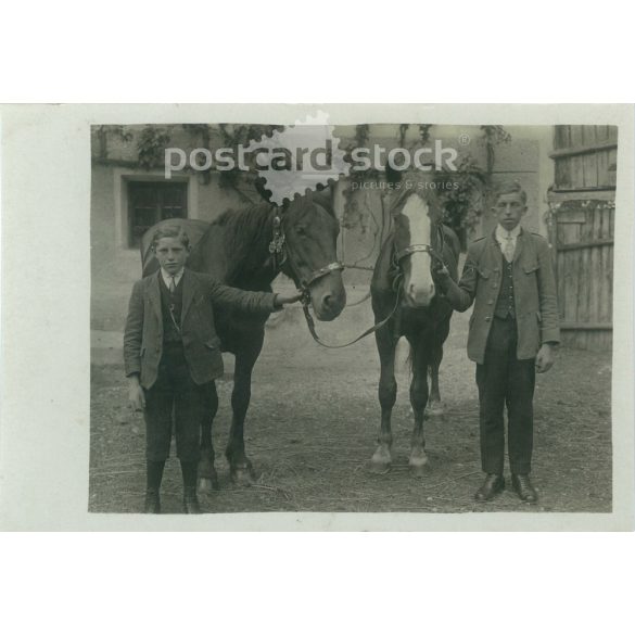 1950-es évek. Németország. Fiatal legények, lovakkal. A kép készítője és a rajta szereplők személye ismeretlen. Eredeti papírkép, régi képeslap, fotólap.  (2792493)