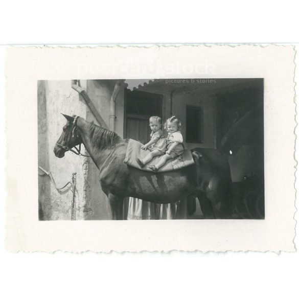 1939. Németország. Fiatal lovasok. A kép készítője és a rajta szereplők személye ismeretlen. Fekete-fehér eredeti papírkép, régi fotó. (2792520)