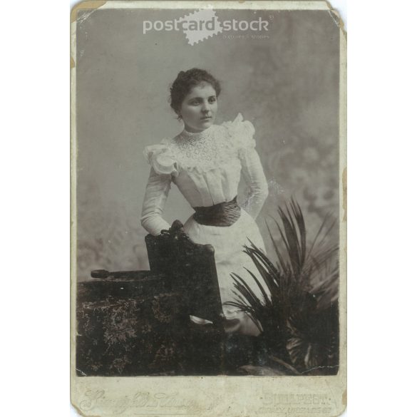 1800-as évek vége. Fiatal hölgy, műtermi fotója. A képen szereplő személye ismeretlen. A fotót Bienenfeld és Társa fényképészeti műterem készítette. Budapest. Régi fotó, eredeti kabinetfotó / keményhátú fotó. (2792763)